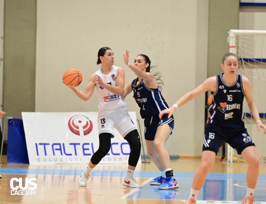 Tea Perić vs Alpo