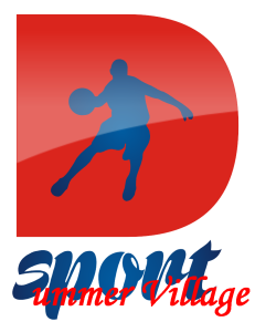 Logo D-Sport Summer Village